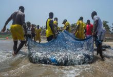 Tema boat disaster is regrettable