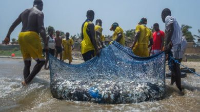 Tema boat disaster is regrettable